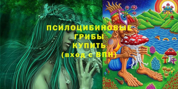 каннабис Корсаков