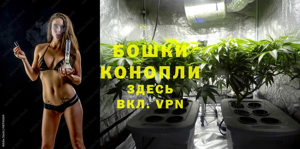 каннабис Корсаков